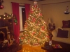 My mom\'s Christmas tree 2007... it was the most beautiful tree I ever saw, it just glowed with beauty and it was so comforting to look at, so beautiful and peaceful. Mom my was an amazing decorator and christmas was here favorate.